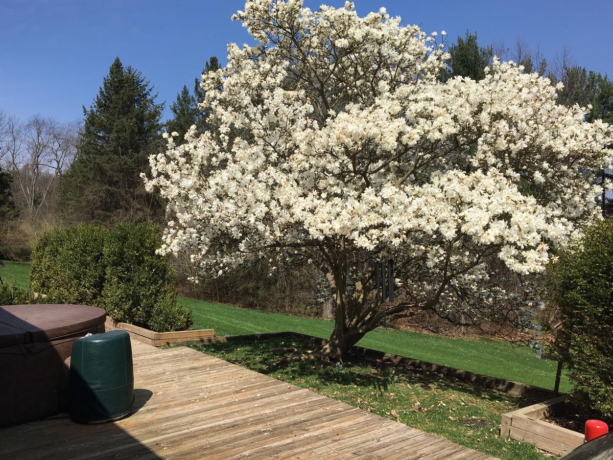 אן ארבור Huron River Guest House מראה חיצוני תמונה