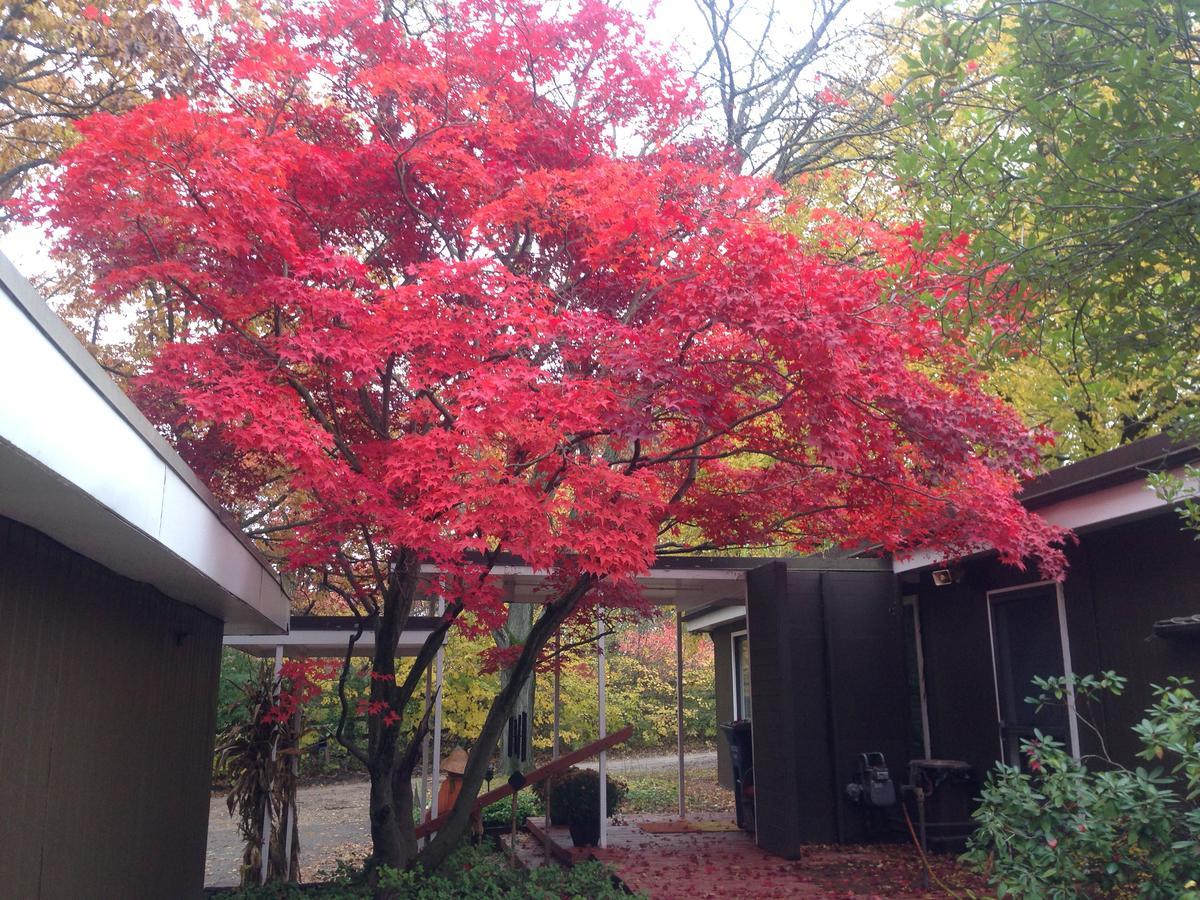 אן ארבור Huron River Guest House מראה חיצוני תמונה
